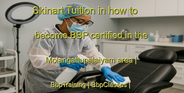 Skinart Tuition in how to become BBP certified in the Molangattupalaiyam area | BbpTraining | BbpClasses | SkinartTraining-India